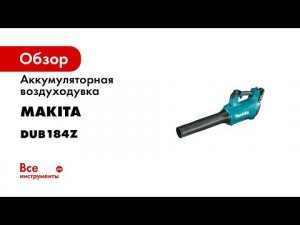 Аккумуляторная воздуходувка Makita DUB184Z