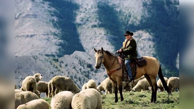 Марк Уолберг сидел в ТЮРЬМЕ?? | 10 интересных фактов о Марке Уолберге из "Трансформеры" смотреть онлайн