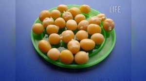 Сделав это тесто вы забудете про другие наживки навсегда! Гороховое тесто для карася и карпа!