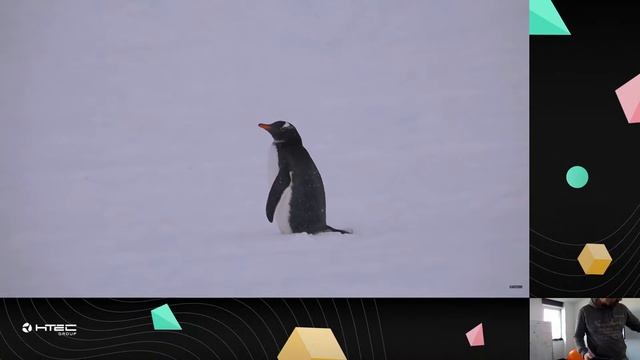 HTEC Front-end Meetup WebSocket Protocols смотреть онлайн