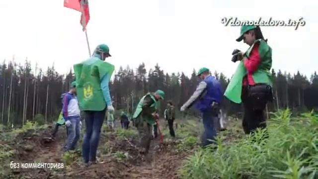 Посадка деревьев в Валищево, Подольский район смотреть онлайн