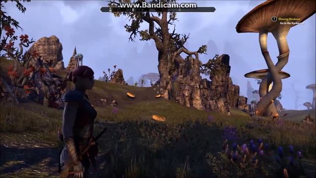 Netch Sound From ESO смотреть онлайн