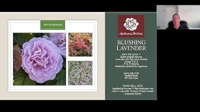 2023 Exclusive Roses and New Perennials from Jackson & Perkins смотреть онлайн