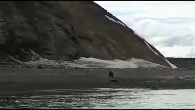 На Камчатке рыбак утонул, убегая от медведя смотреть онлайн