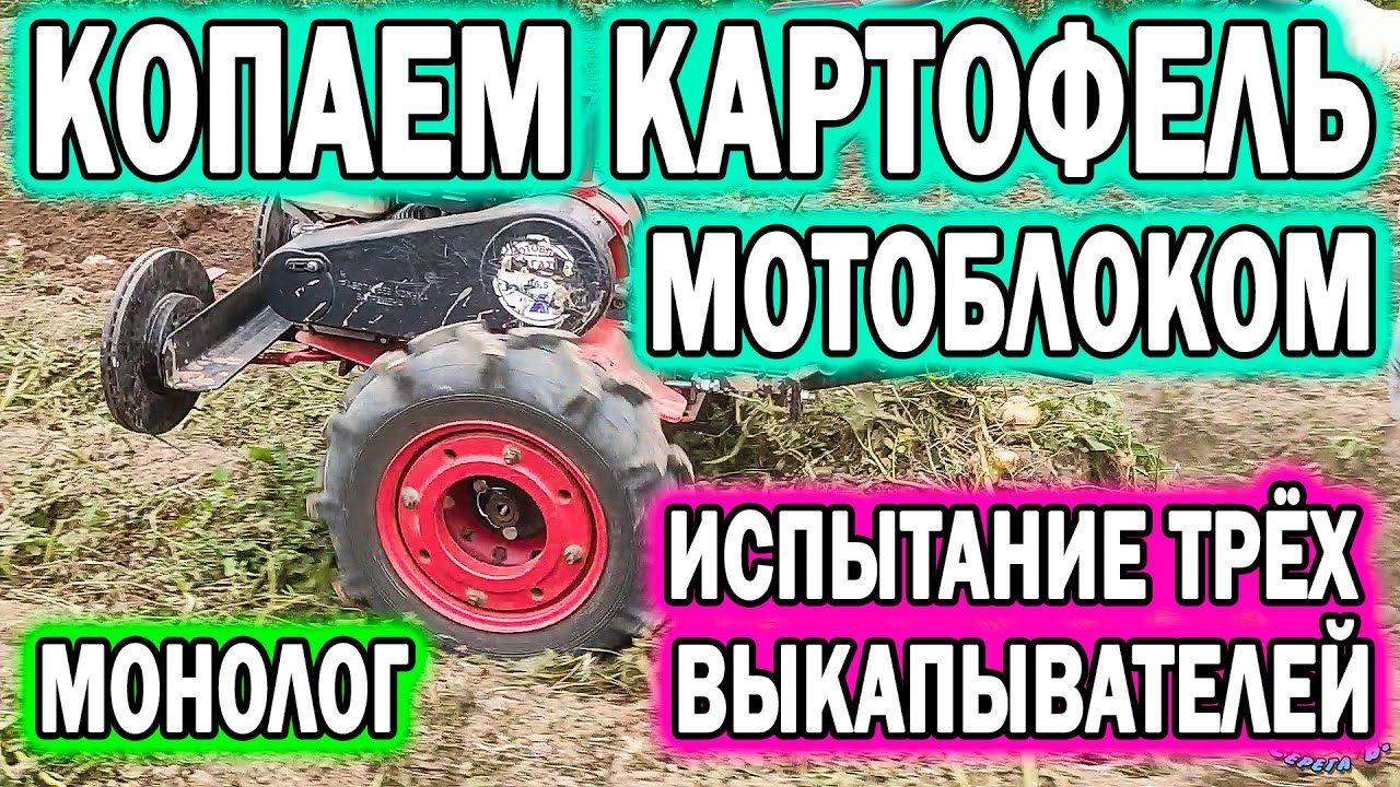 Копаем картофель мотоблоком 2021. Испытание выкпывателей. ?Монолог о выполненной работе. смотреть онлайн