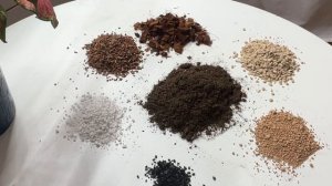 Грунт для ароидных