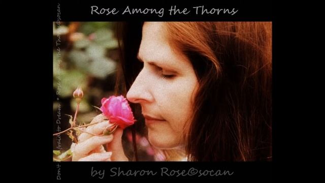 Rose Among the Thorns by Sharon Rose Bradley-Munn смотреть онлайн