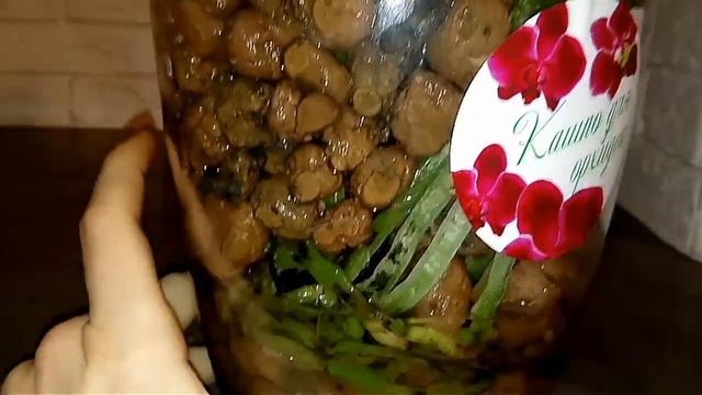 Орхидеи в керамзите | ПОЛИВ смотреть онлайн