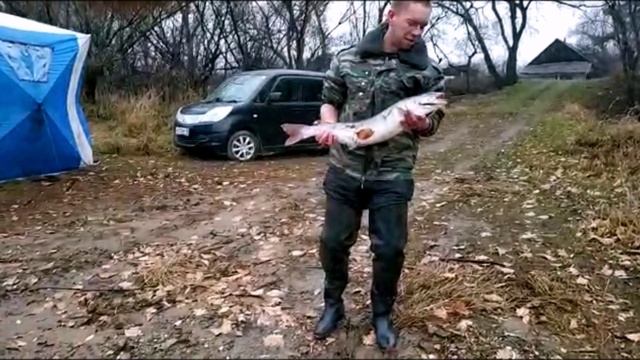 Уссури 1_0.mp4