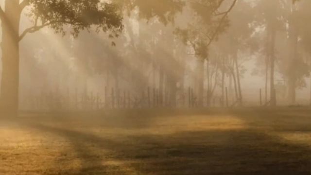 реальные истории из жизни людей | аудио рассказы про любовь реальных | #стихотворение смотреть онлайн