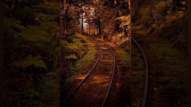 Кружится и падает лист кленовый.??? Христианская песня. Петр Бальжик ,Алина Русавук смотреть онлайн