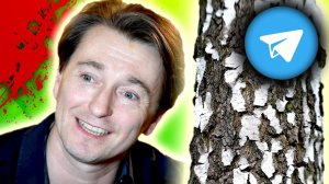 ТЕЛЕГРАММ КАНАЛ СЕРГЕЯ БЕЗРУКОВА [ От чего так в РОССИИ БЕРЁЗКИ ШУМЯТ ? ]
