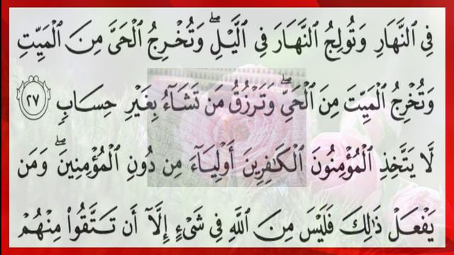 Tajweed Quran Alfaz Aur Adaygi Durst Kryn Al Imran 23-32 قران سیکھیں смотреть онлайн