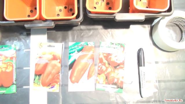 Выращиваем рассаду помидор и перцев в гроутенте Secret Jardin Intense, Фитосветильники Apollo 12 смотреть онлайн