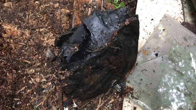 Ура, закончила расчистку участка за сараем смотреть онлайн