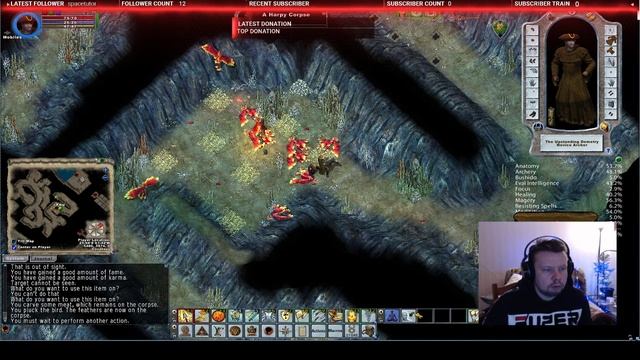 Ultima Online. Ознакомление с соседями и отстрел гарпий на перья