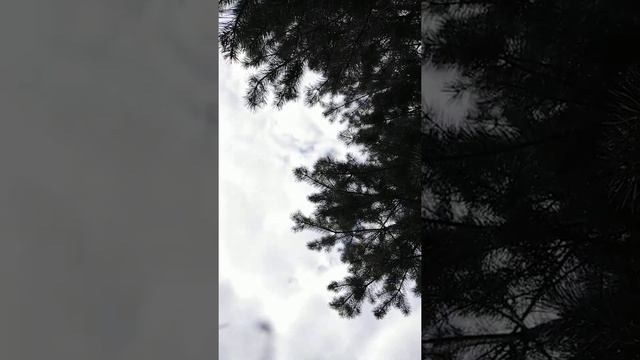 3 глава аудиокниги " Путешествие в Магисториум". Читает автор Элла Киселева. смотреть онлайн