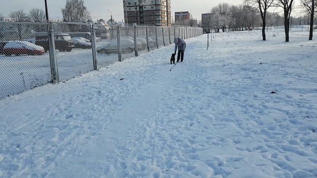 Зима, холода!/Winter, Cold!