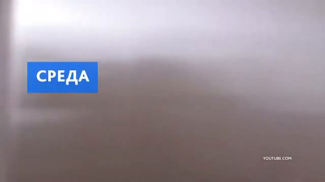Интересные факты про каждый день недели смотреть онлайн