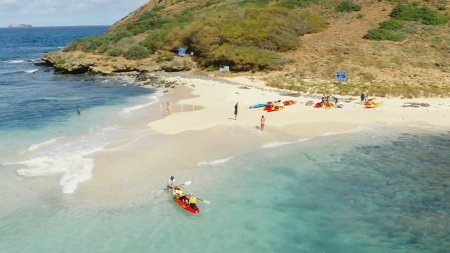 Twin Island Guided Kayak Tour смотреть онлайн