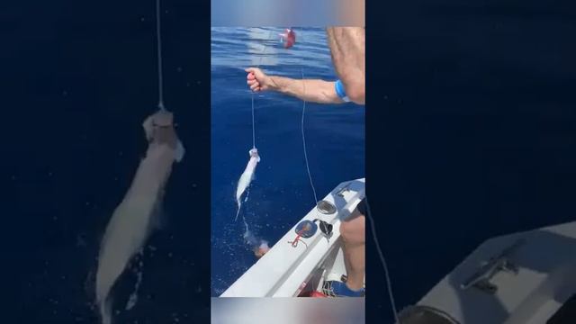 Сейшелы "Рай на земле" смотреть онлайн