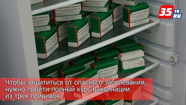 Первый в этом году случай укуса клеща зарегистрировали медики в Вологде смотреть онлайн