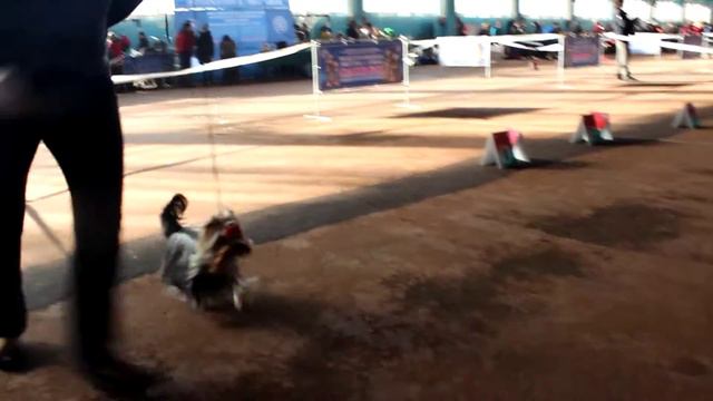 MVI 1411 смотреть онлайн