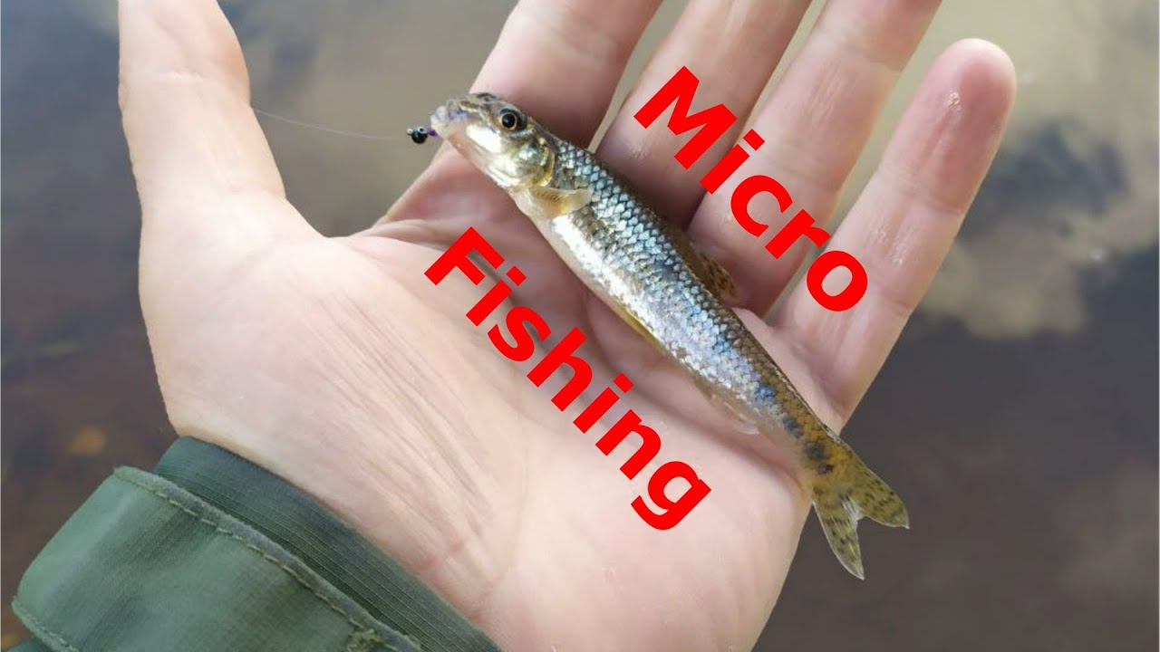 #374 #Мормышинг #microfishing