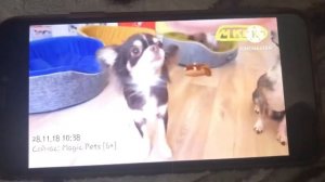 Переключение каналов триколор тв 28.11.2018