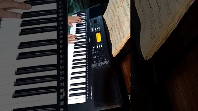 Reloj/ cover instrumentado con Yamaha PSRE363 смотреть онлайн