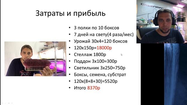 Как заработать в комнате с 10.000р. актуальные цифры. бизнес на микрозелени смотреть онлайн