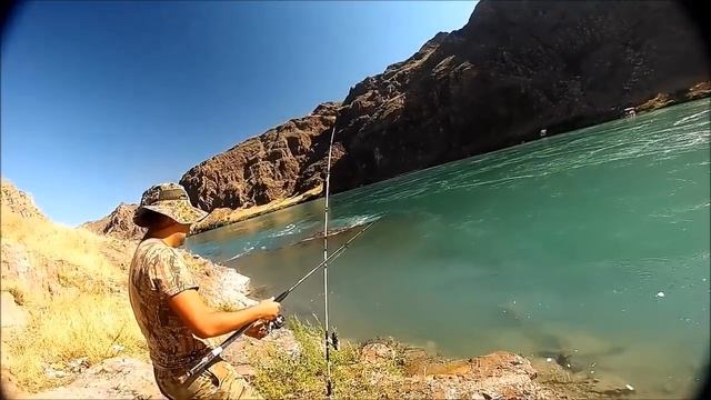 Рыбалка на реке Или. Сазан, Жерех. 25-26 июня смотреть онлайн