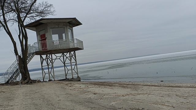 Прогулка 17 декабря. смотреть онлайн