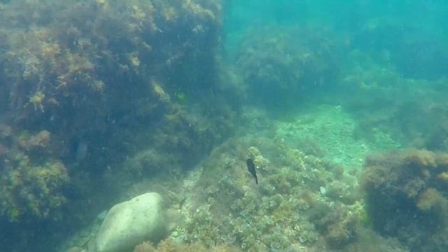 Севастополь. Пляж на востоке от мыса Херсонес. Подводная съёмка смотреть онлайн