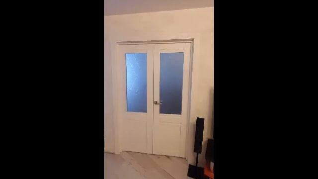 Межкомнатные распашные двери классика в белом цвете смотреть онлайн