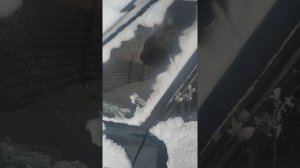 Как открыть дверь без ключа ауди 100 с 4