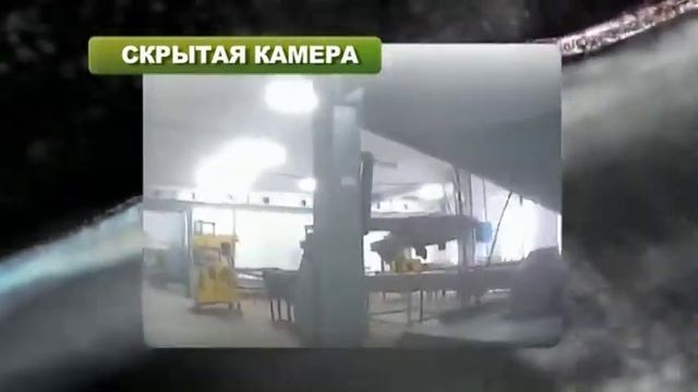 О чем молчит рыба