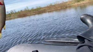 Назия. Новоладожский канал. Рыбалка не удалась :(