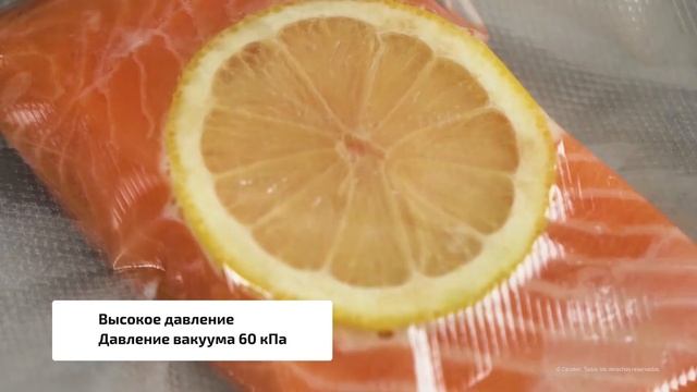 Вакуумный упаковщик CECOTEC FoodCare SealVac 600 Easy смотреть онлайн