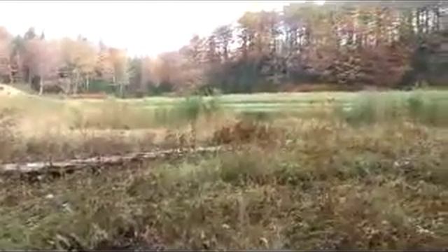 Crno Jezero.flv смотреть онлайн