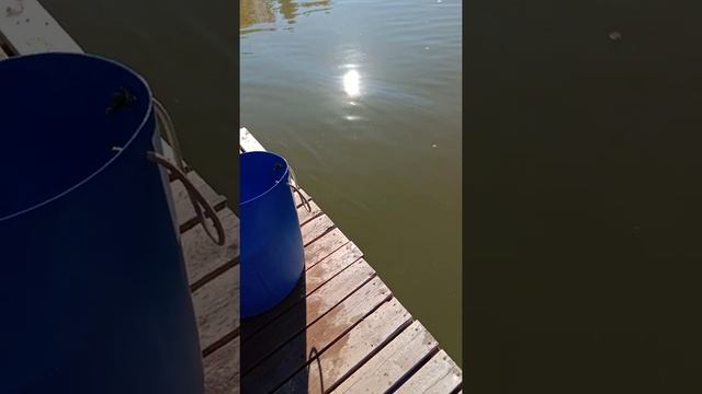 Дополнительный запуск. РЫБАЛКА В ДУРЫКИНО смотреть онлайн