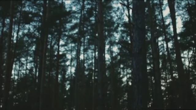 MACAN- Плачь, но не звони ( Клип 2022 года) смотреть онлайн