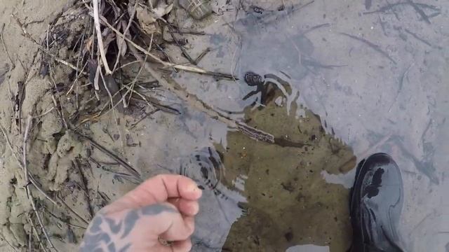 ПЛЯЖНЫЙ ПОИСК НА БЕЛОМ ОЗЕРЕ КОСИНО смотреть онлайн