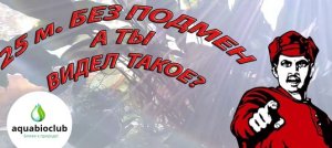 Аквариум самп на окне 25 м без подмен воды на био и фито фильтре.
