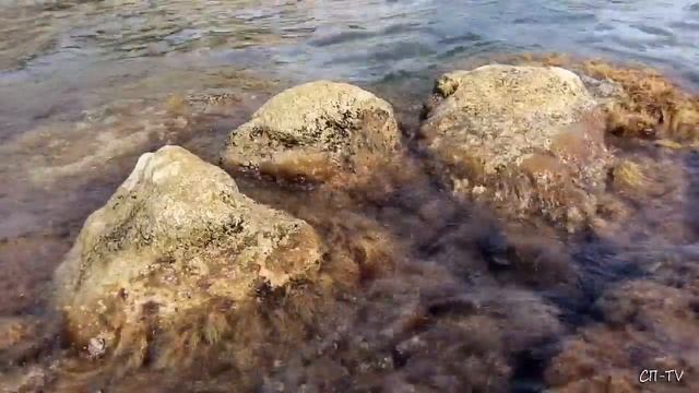 Крым. Понизовка. Морской берег смотреть онлайн