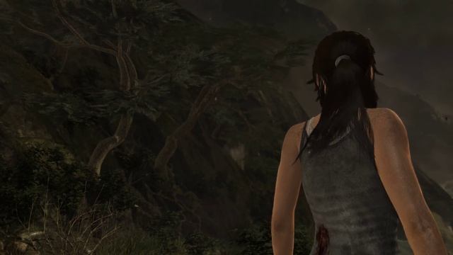 Tomb Raider (2013) - Benchmark Test with MSI GTX 1060 Gaming X 6GB смотреть онлайн