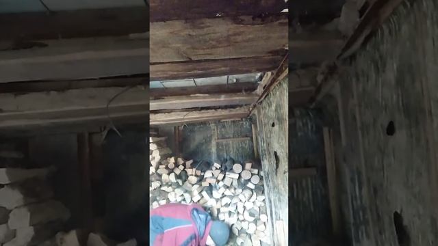 25 октября 2023 года продолжаю складывать дрова