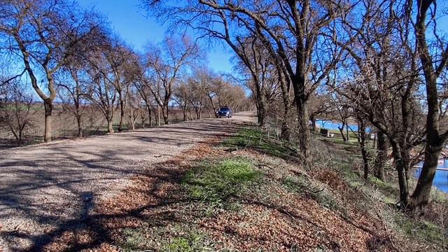 2024 Mazda CX-50 Meridian edition | Whats New | Carguy Drives смотреть онлайн