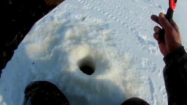 апрель 2018.малек гаврик дает жару окуням.часть первая!!! смотреть онлайн