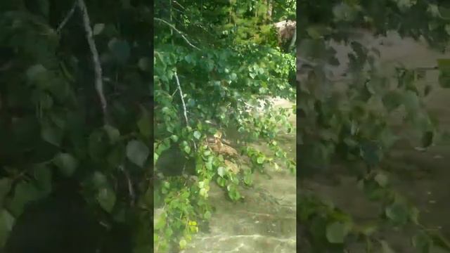 Тургояк смотреть онлайн